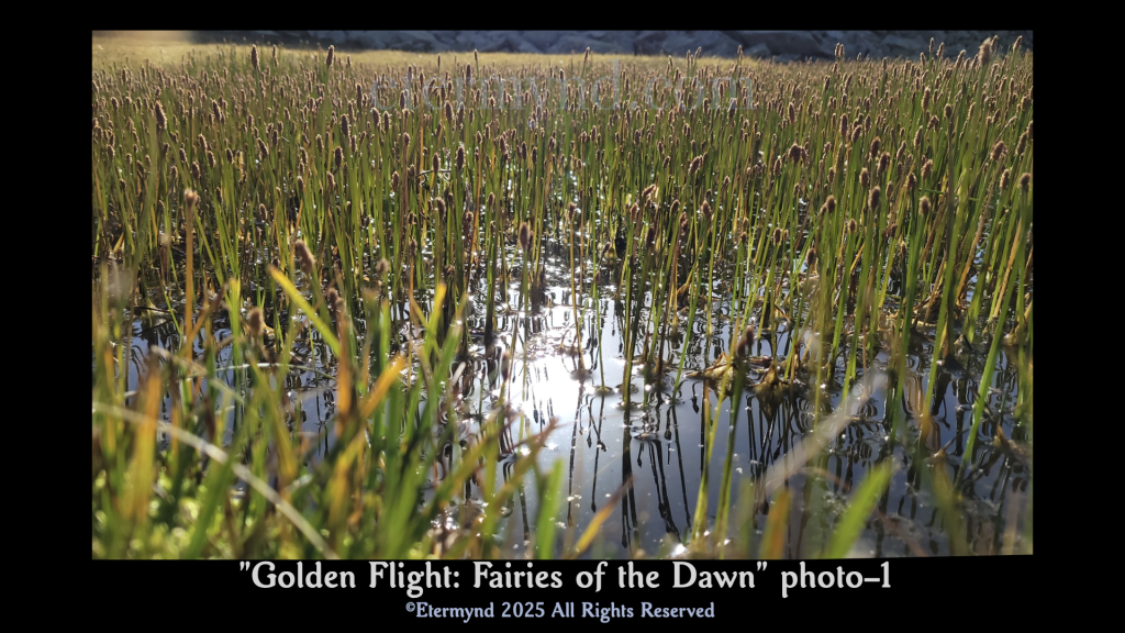 Flying insects in a nature park lagoon at dawn, or a divine canvas of fairies? An image to develop profound artistic perception and consider whether reality is the product of something much deeper, something related to how we process what we receive from the spectrum. Photo-1