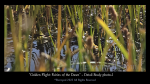 Flying insects in a nature park lagoon at dawn, or a divine canvas of fairies? An image to develop profound artistic perception and consider whether reality is the product of something much deeper, something related to how we process what we receive from the spectrum. Detail study photo 1-2