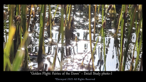Flying insects in a nature park lagoon at dawn, or a divine canvas of fairies? An image to develop profound artistic perception and consider whether reality is the product of something much deeper, something related to how we process what we receive from the spectrum. Detail study photo 1-4
