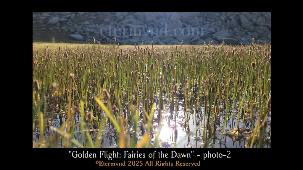 Flying insects in a nature park lagoon at dawn, or a divine canvas of fairies? An image to develop profound artistic perception and consider whether reality is the product of something much deeper, something related to how we process what we receive from the spectrum. Photo-2