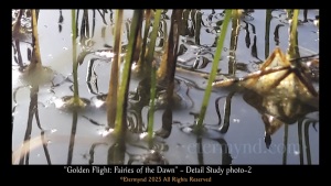 Flying insects in a nature park lagoon at dawn, or a divine canvas of fairies? An image to develop profound artistic perception and consider whether reality is the product of something much deeper, something related to how we process what we receive from the spectrum. Detail Study Photo-2-5