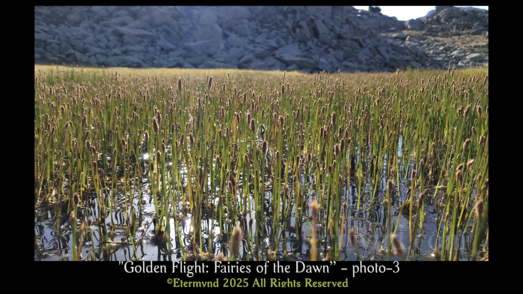 Flying insects in a nature park lagoon at dawn, or a divine canvas of fairies? An image to develop profound artistic perception and consider whether reality is the product of something much deeper, something related to how we process what we receive from the spectrum. Photo-3
