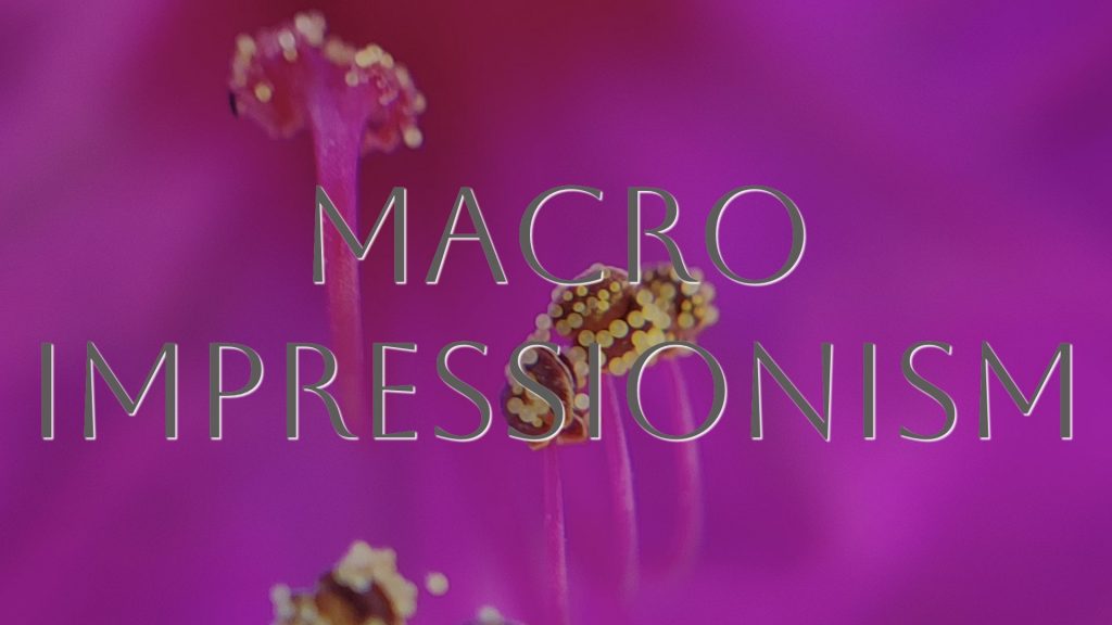 Explore "Alchemical Optics", a collection of pure macro photographic impressionism capturing the ephemeral beauty of nature through unretouched lenses and artistic vision, by Etermynd