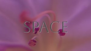 Photography as a tool to perceive the ether—through human development and its interplay with light. A study of inner spectrometry