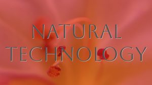 Photography as a tool to perceive the ether—through human development and its interplay with light. A study of inner spectrometry
