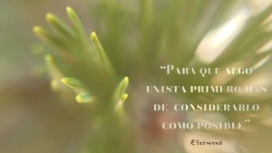 Flor de pino. Poesía visual de et “Esta colección es una oda a la identidad, el valor más fundamental, tanto para un individuo como para una empresa. La identidad surge de múltiples direcciones opuestas que han coexistido, sin que ninguna anule a las demás. Ser es desafiar la existencia misma; es autonomía dentro de la organización, una dirección que la Naturaleza ha seguido durante millones de años.”