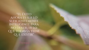 Poesía visual de et “Esta colección es una oda a la identidad, el valor más fundamental, tanto para un individuo como para una empresa. La identidad surge de múltiples direcciones opuestas que han coexistido, sin que ninguna anule a las demás. Ser es desafiar la existencia misma; es autonomía dentro de la organización, una dirección que la Naturaleza ha seguido durante millones de años.”