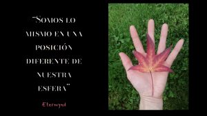 Poesía visual de et “Esta colección es una oda a la identidad, el valor más fundamental, tanto para un individuo como para una empresa. La identidad surge de múltiples direcciones opuestas que han coexistido, sin que ninguna anule a las demás. Ser es desafiar la existencia misma; es autonomía dentro de la organización, una dirección que la Naturaleza ha seguido durante millones de años.”