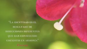 primer plano de una flor roja de Weigela con el estigma en blanco. Poesía visual de et “Esta colección es una oda a la identidad, el valor más fundamental, tanto para un individuo como para una empresa. La identidad surge de múltiples direcciones opuestas que han coexistido, sin que ninguna anule a las demás. Ser es desafiar la existencia misma; es autonomía dentro de la organización, una dirección que la Naturaleza ha seguido durante millones de años.”