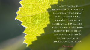 Hoja verde en luz y sombra. Poesía visual de et “Esta colección es una oda a la identidad, el valor más fundamental, tanto para un individuo como para una empresa. La identidad surge de múltiples direcciones opuestas que han coexistido, sin que ninguna anule a las demás. Ser es desafiar la existencia misma; es autonomía dentro de la organización, una dirección que la Naturaleza ha seguido durante millones de años.”