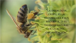 Poesía visual de et “Esta colección es una oda a la identidad, el valor más fundamental, tanto para un individuo como para una empresa. La identidad surge de múltiples direcciones opuestas que han coexistido, sin que ninguna anule a las demás. Ser es desafiar la existencia misma; es autonomía dentro de la organización, una dirección que la Naturaleza ha seguido durante millones de años.”