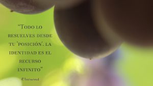 Fotografía macro de onas uvas estilo impresionista. Poesía visual de et “Esta colección es una oda a la identidad, el valor más fundamental, tanto para un individuo como para una empresa. La identidad surge de múltiples direcciones opuestas que han coexistido, sin que ninguna anule a las demás. Ser es desafiar la existencia misma; es autonomía dentro de la organización, una dirección que la Naturaleza ha seguido durante millones de años.”