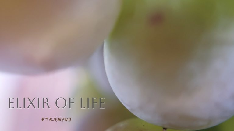 Close-up Poetic photography of Chardonnay grapes. Sublime art. A collection of macro photographs, with and without minimalist poetic text, of grapes. The art of wine elevated to sublimation, by Etermynd. Unretouched research photography on the ether. A new paradigm in organic photography from a human development perspective.