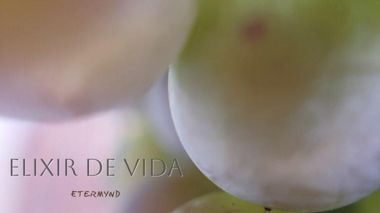Fotografía poética de uvas Chardonnay. Arte sublime. Una colección de macrofotografías de uvas, con y sin texto poético minimalista. El arte del vino elevado a la sublimación, por Etermynd. Fotografía de investigación sin retoques en el éter. Un nuevo paradigma en la fotografía orgánica desde una perspectiva de desarrollo humano.